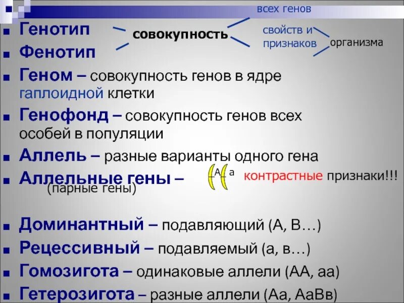 Генотип дочерних организмов. Геном генотип фенотип. Понятия ген геном генотип фенотип. Генотип фенотип кариотип. Геном генотип кариотип генофонд.