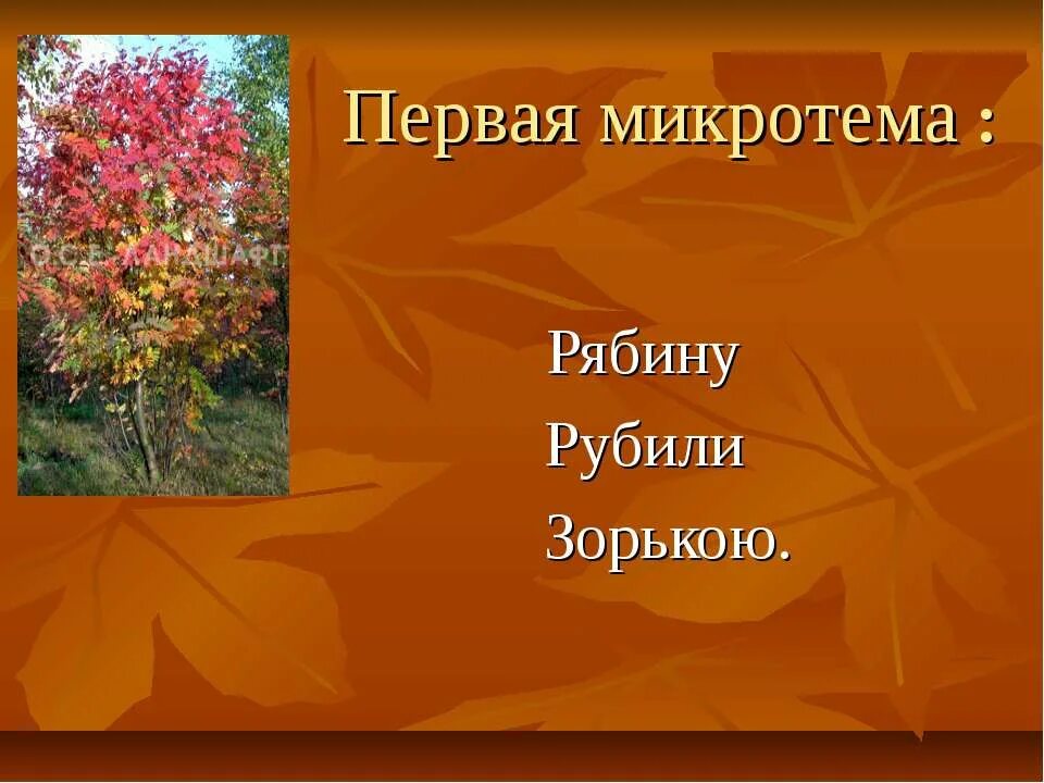 Стихотворение цветаевой рябину рубили. Стих рябину рубили зорькою. Рябину рубили зорькою Цветаева. Стихотворение рубили рябину. Стихотворение рябина рябину рубили зорькою.