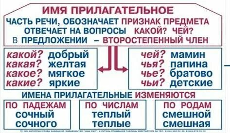 Какие прилагательные можно подобрать к слову фасоль. Какие прилагательные можно подобрать к слову фасоль