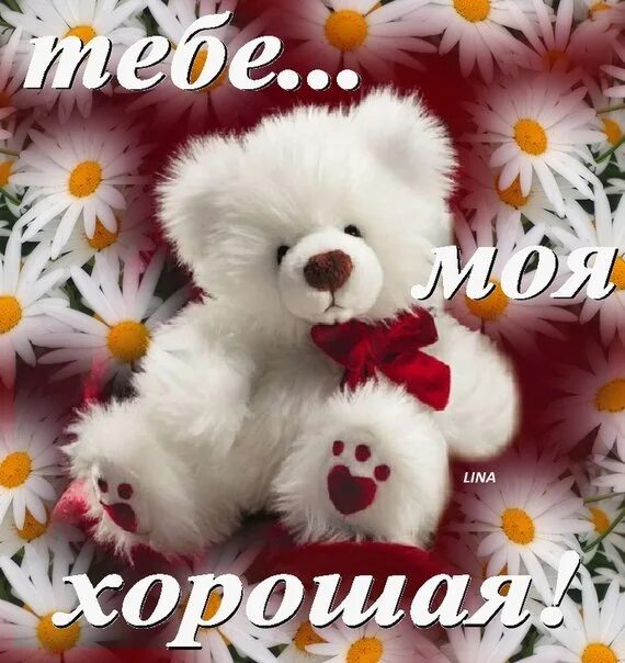 Самого лучшего доброго дня любимая