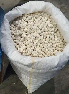 Опт даром