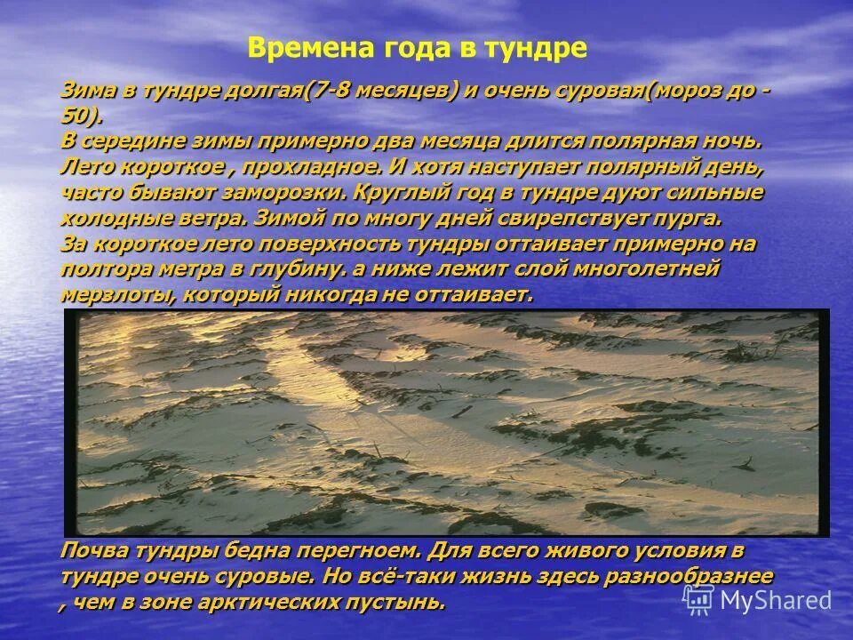 арктические пустыни 8 класс география.