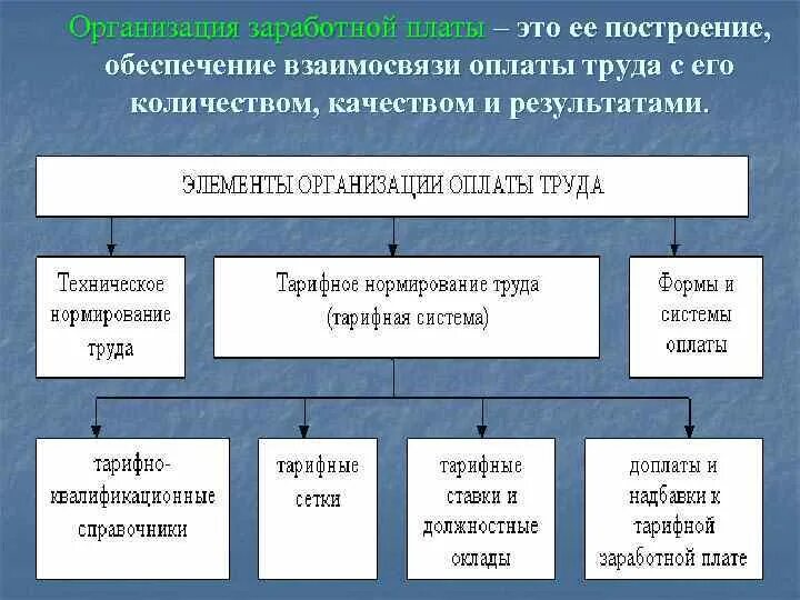 Элементы оплаты труда. Организация заработной платы. Принципы организации заработной платы. Элементы организации оплаты труда.