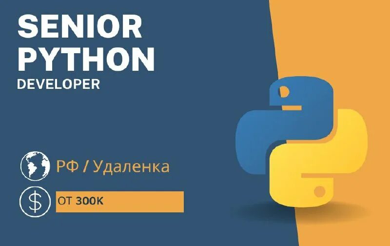 Senior python developer. Senior python developer. Indrive. Сеньер пайтон девелопер ребенок. Web developer usa.