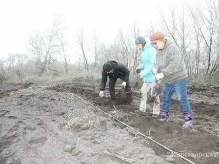 Погода в поселке садовый тамбовская область