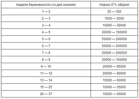 3 дня зачатия