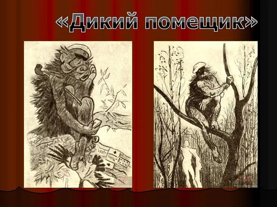 Сказка Салтыкова Щедрина дикий помещик. Урус Кучум Кильдибаев дикий помещик. Дикий помещик иллюстрации. Салтыков щедрин дикий помещик услышал милостивый бог