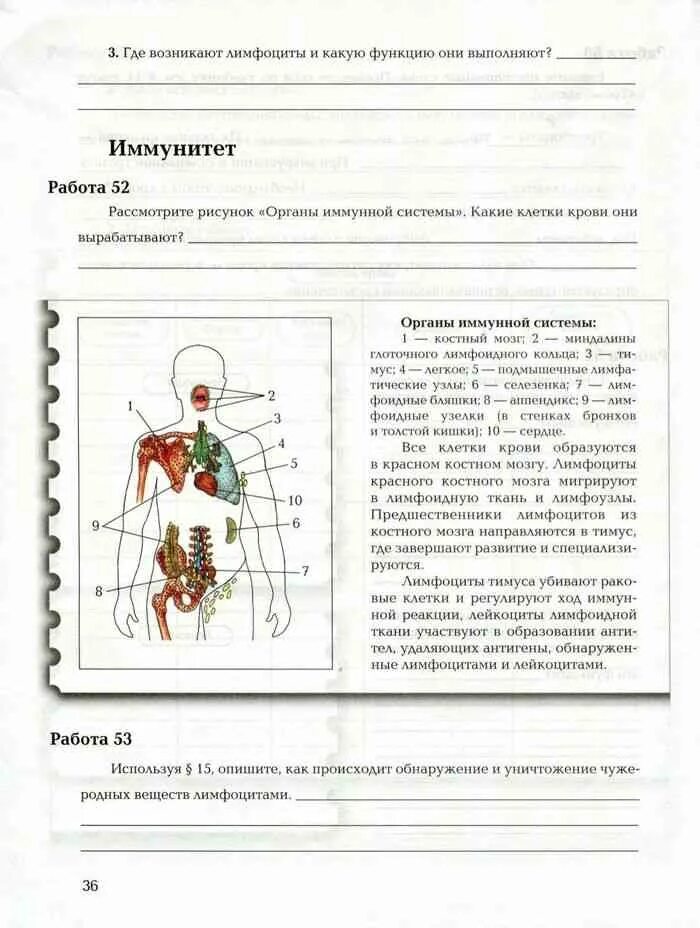 Биология 8 класс рабочая тетрадь драгомилов. Биология 8 класс драгомилов темы. Биология 8 класс драгомилов рис 11. Рабочая тетрадь по биологии 8 класс драгомилов 1 часть. Учебник драгомилов 9 класс читать