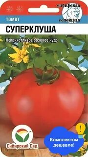 Помидор супер клуша описание отзывы