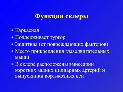 Функции склеры глаза