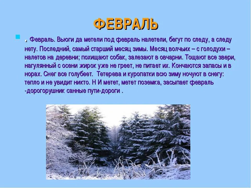 сочинение последний день зимы. сочинение описание зины. сочинение на тему зима. сочинение зимнего леса. сочинение последний день зимы.