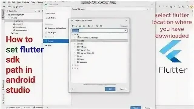 Flutter path. Flutter path