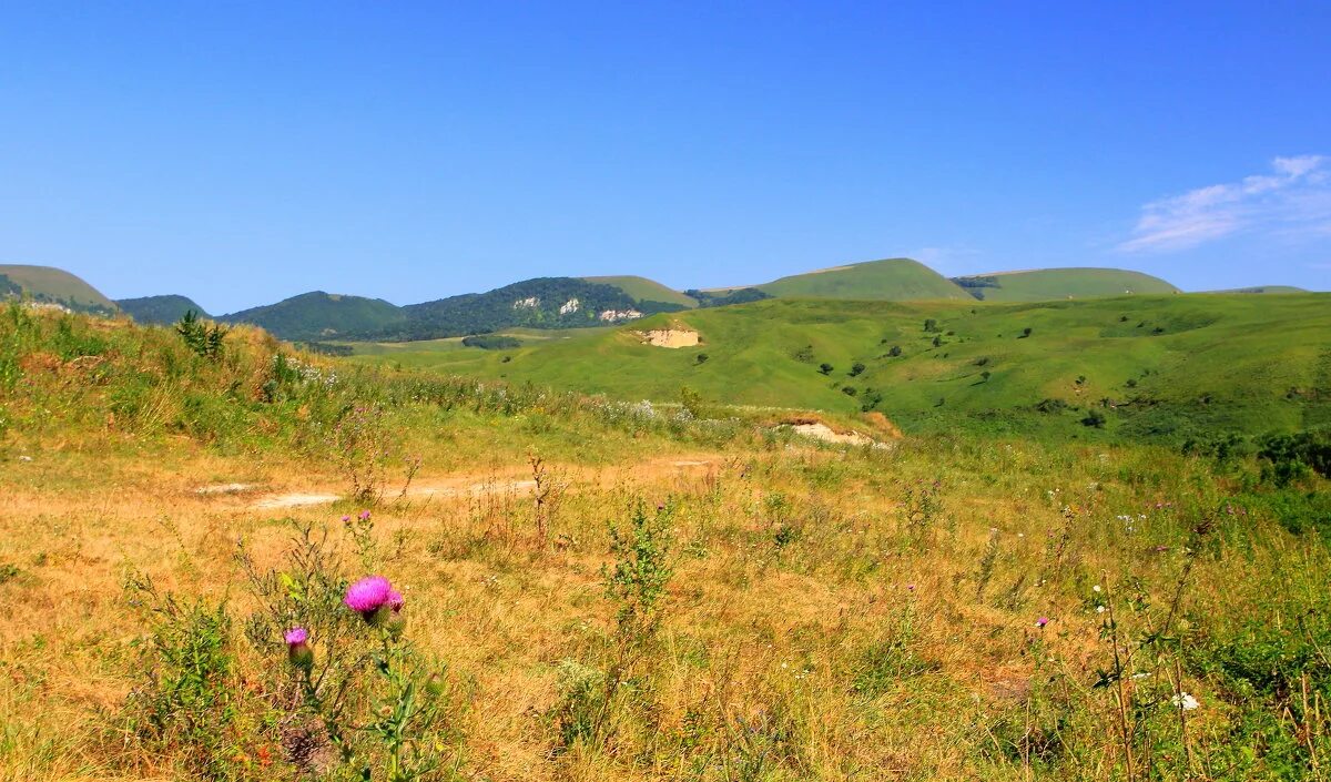 просторы ставропольского края река. поля поля краснодарский край. простор ставрополь. бескрайние просторы ставропольского края. степь ногайского района.