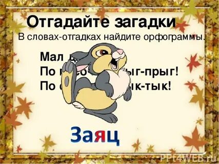 Слова со словом мокрый
