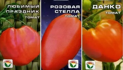 Помидоры низкорослые для теплицы без пасынкования