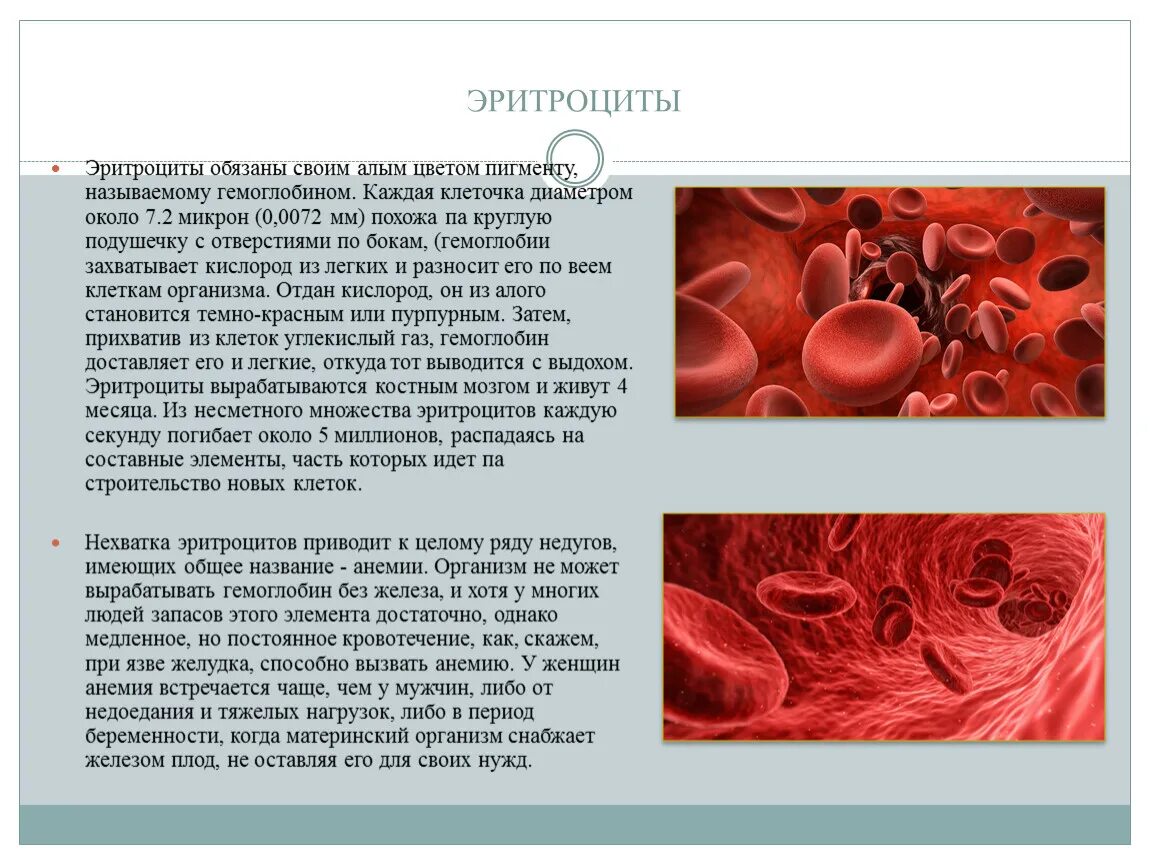 Повышенный гемоглобин и эритроциты в крови. Халва гемоглобин. Халва поднимает гемоглобин. Халва при низком гемоглобине. Цвет крови при низком гемоглобине.
