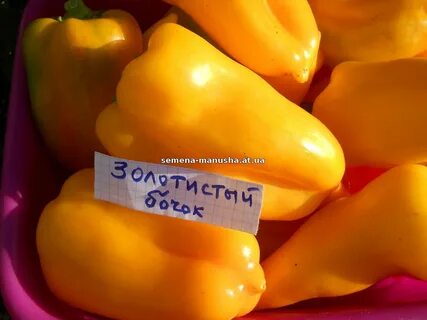 Перец бочонок
