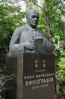 Математик виноград