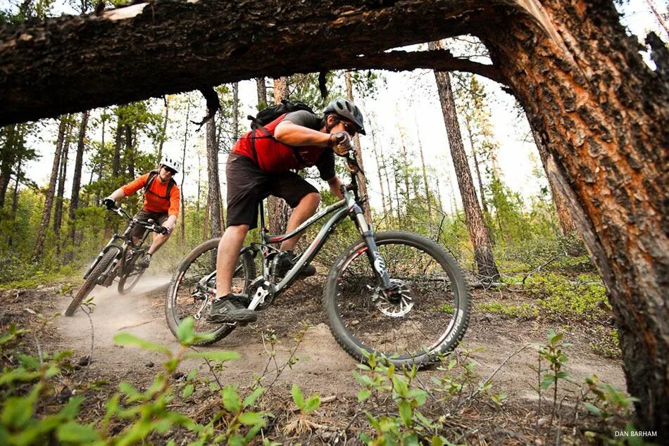 Выкаченный велосипед. MTB Trail. Трейлы МТБ. Велосипедный Трейл. Трейлы для велосипедов.