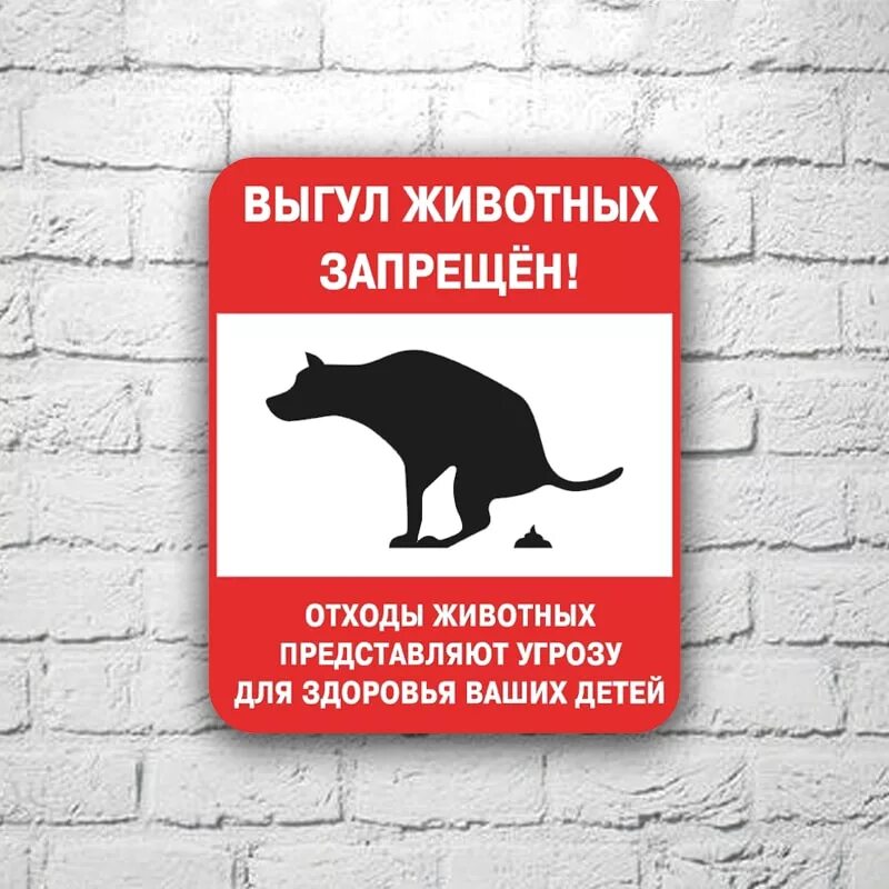 Объявления о животных