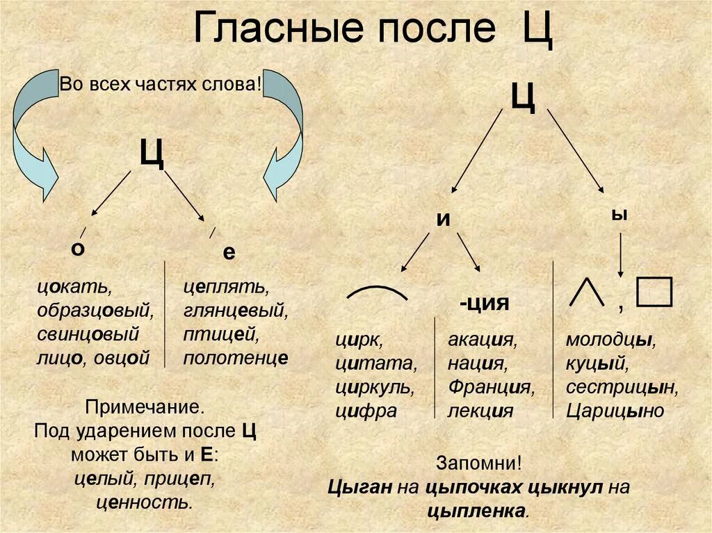 Правописание и ы после шипящих ц. Употребление гласных после ц. Правописание гласных после шипящих и ц. Написание гласной после ц. Правописание гласных после шипящих и ц правило по русскому языку.