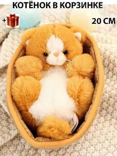 Спокойной 100