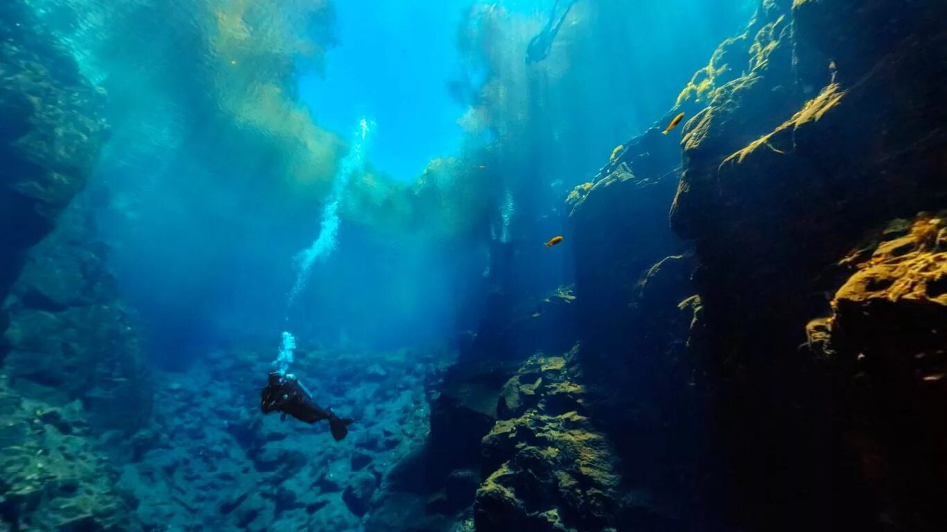 Ущелье Силфра, Исландия. Подводный каньон Монтерей. Дно Тихого океана. Океанское дно. Атлантический океан факты