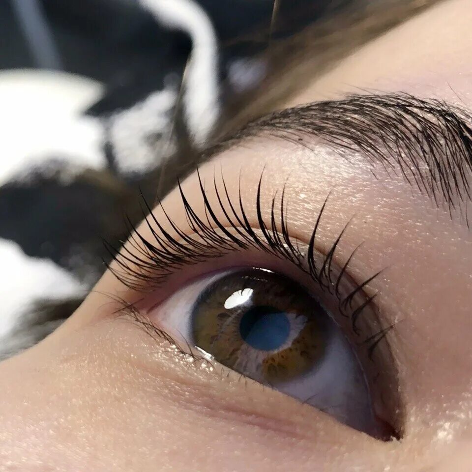 загадка стоят в лугах сестрички золотой глазок белые реснички. окрашенные ресницы. окрашивание ресниц краской. сестрички реснички. сестрички реснички.