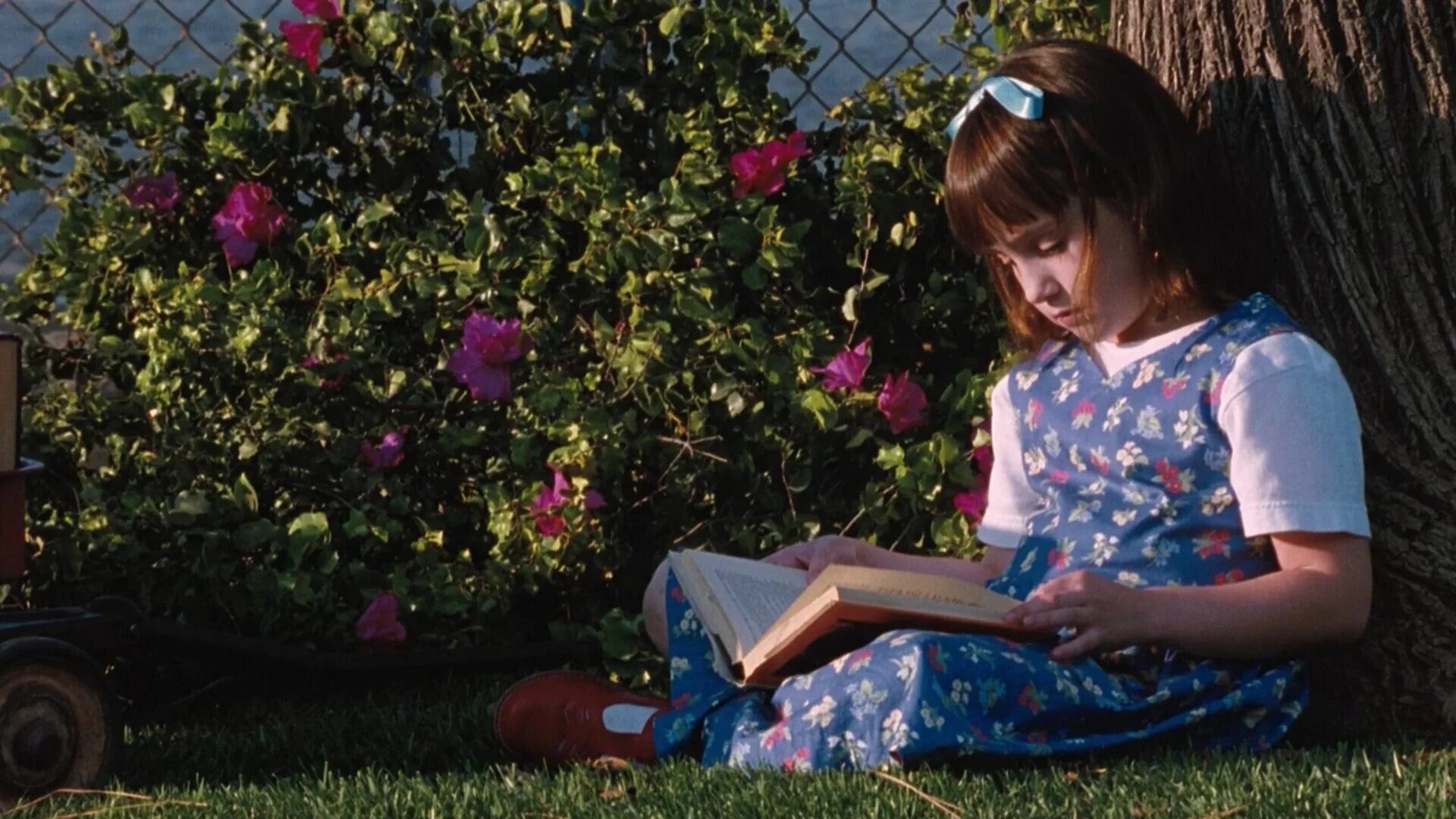 Matilda movie. Matilda movie. Matilda movie. Эмбет дэвидц 1996. Matilda movie.