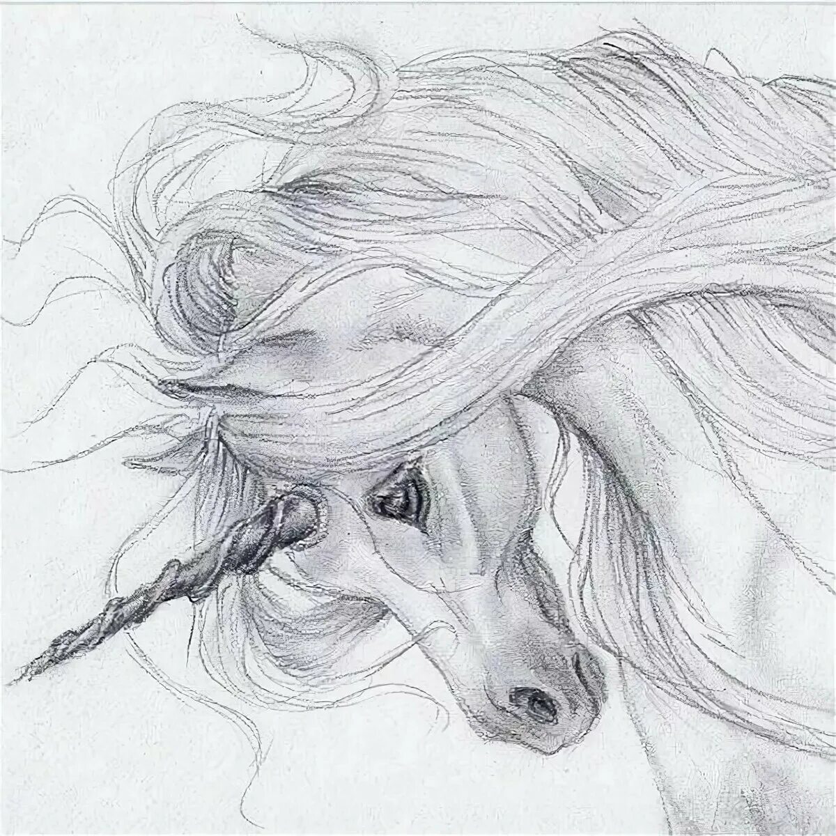 Красивые рисунки карандашом. Единорог карандашом. Картины карандашом для срисовывания. Единорог рисунок карандашом. Единорог карандашом для срисовки.