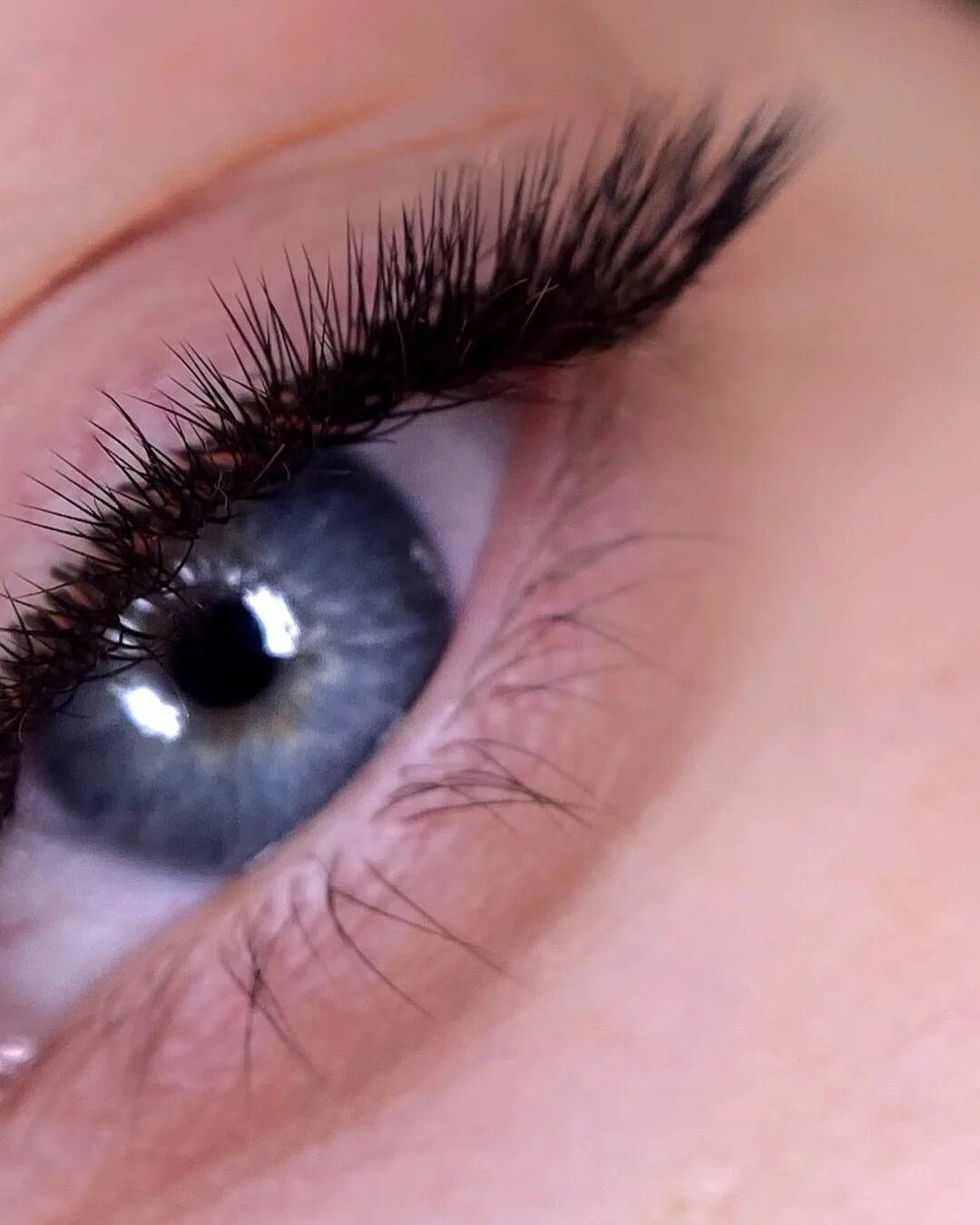 жанна наращивание ресниц евпатория. наращивание ресниц алтуфьево. реснички 3d. изгибатель ресниц. наращивание ресниц алтуфьево.