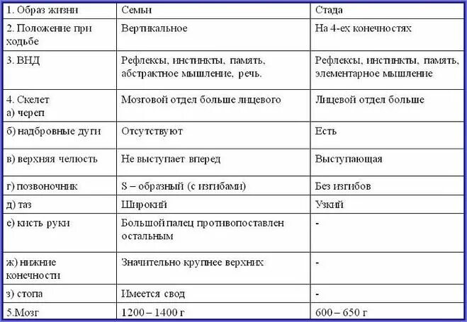 Таблица человек и человекообразные обезьяны. Сходство человека и человекообразных обезьян таблица. Различие скелетов человека и обезьяны таблица. Образ жизни человека и человекообразных обезьян таблица.