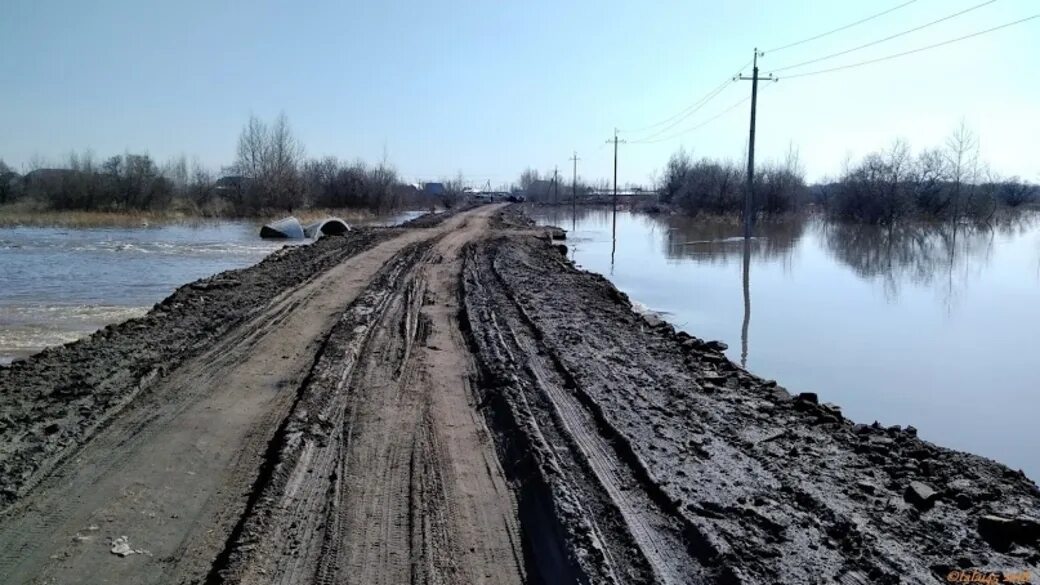 Уровень воды алей