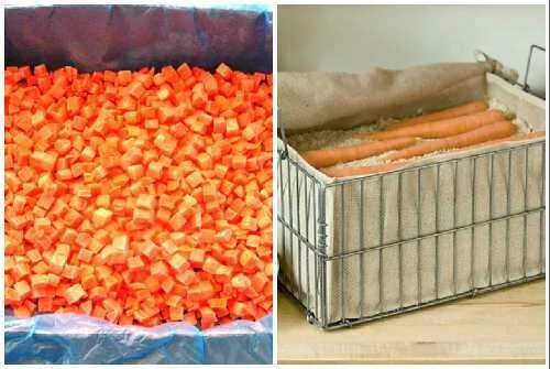 Ящик для хранения моркови. Хранение моркови. Ящик для моркови в погребе. Ящик для хранения моркови в погребе. Как хранить морковь в погребе зимой