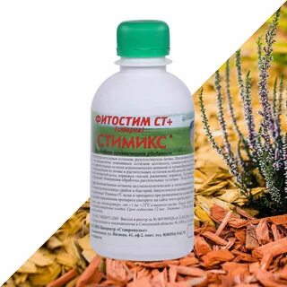 Грибы препятствуют разложению растительных остатков в лесу