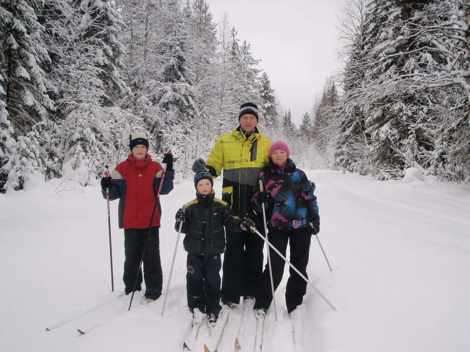 Семейная прогулка на лыжах. Семейная лыжная прогулка. Прогулка на лыжах в лесу. Лыжный туризм в лесу. Семья лыжников