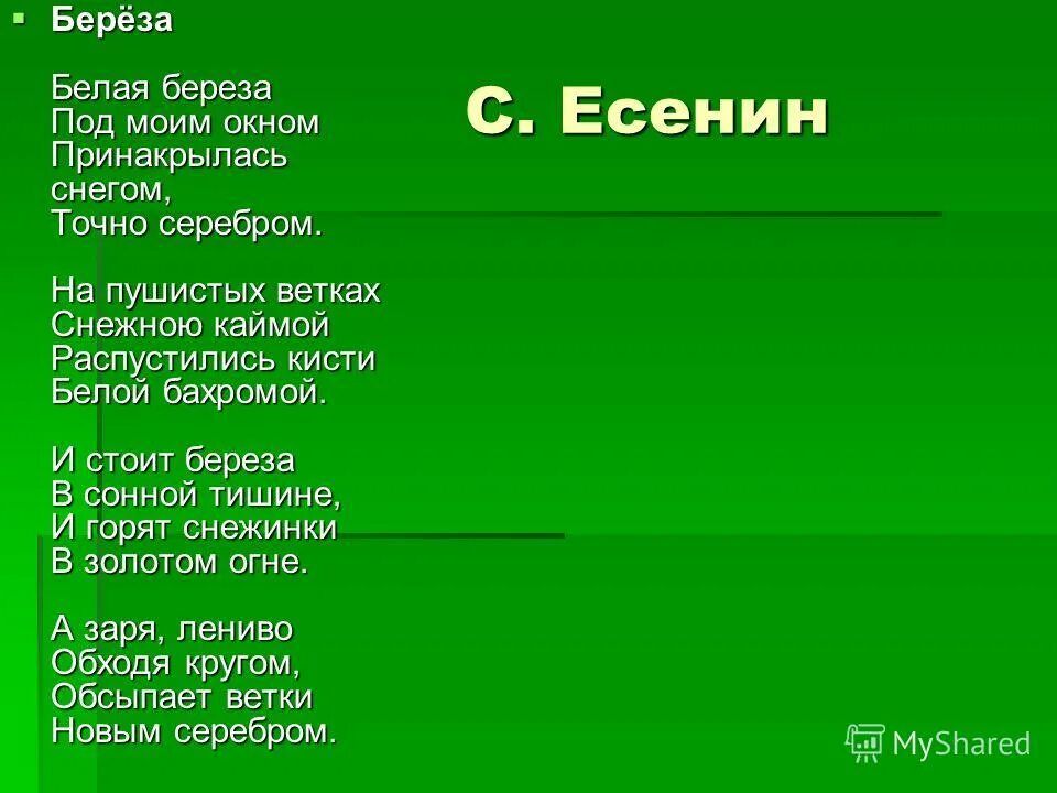 пять названий песен о природе. лесной марш текст песни. название песен о природе. стих на тему экология. лесной марш слова.