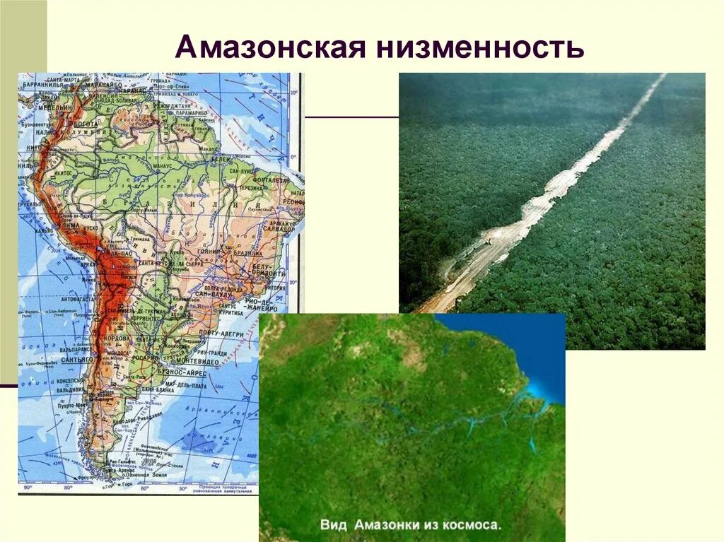 В какой стране расположена большая часть амазонской. Равнина Амазонская низменность на карте. Амазонская низменность на карте Южной Америки. Где находится Амазонская равнина на карте полушарий. Амазонская низменность Перу.