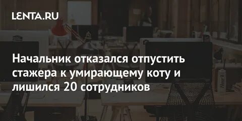 Лишить 20