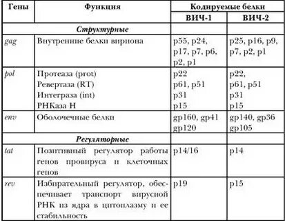 Вич белок