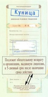 Срок разовой лицензии