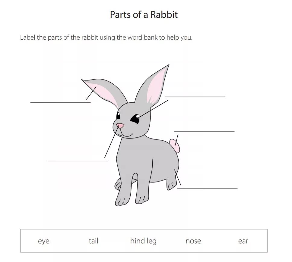 Кролик Worksheets. Body Parts Rabbit. Inscription карта кролика. Кролик лейбл.