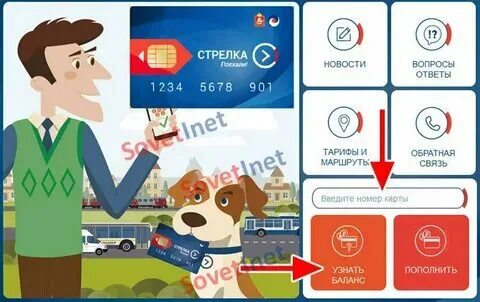 Транспортная стрелка баланс по номеру