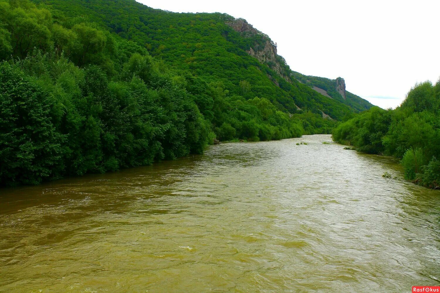 Река тигровая. Партизанская (река) реки приморского края. Партизанская (река) реки приморского края. Река тигровая приморский край. Речка партизанская приморский край.