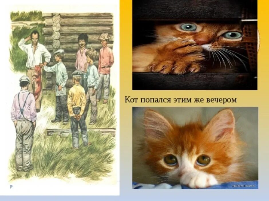 Произведения с котами. Паустовский к. "кот-ворюга". Рассказ Паустовского кот ворюга. К Г Паустовский кот-ворюга рассказ.