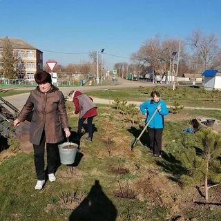 Осадки с грушевское