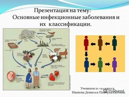 Инфекции доклад обж