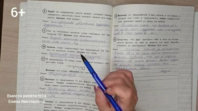 Дельфины впр 4 класс основная мысль. Дельфины впр 4 класс основная мысль