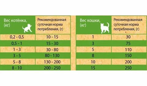 Сколько грамм сухого корма нужно котенку