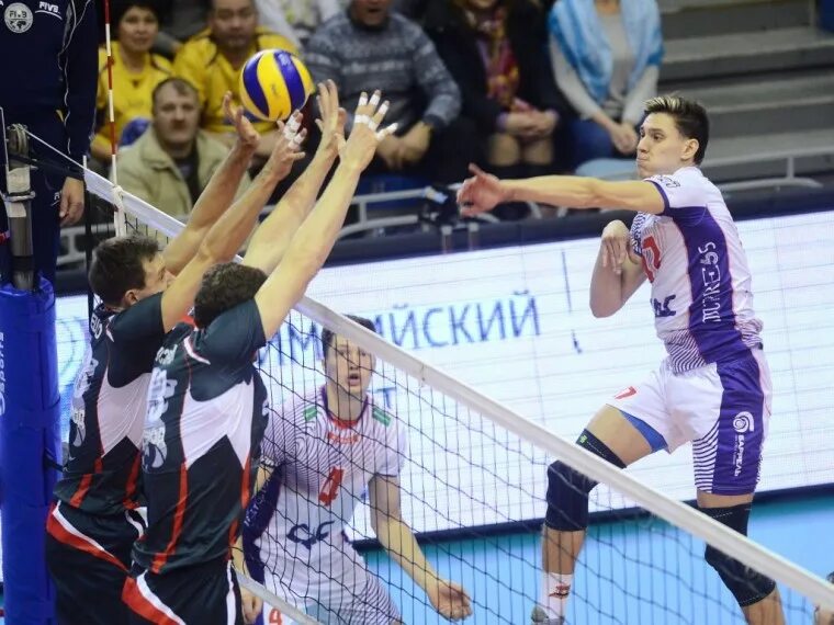 Волейбол кузбасс белогорье. Игроки волейбольного клуба белогорье. Волейбол белогорье динамо счет. Волейбол белгород кузбасс. Зенит белогорье волейбол.